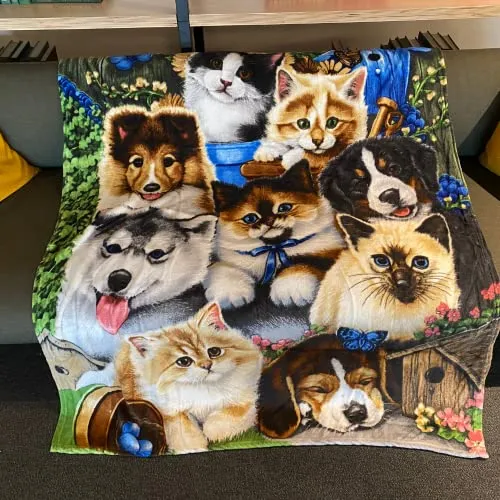 Dawhud Direct Puppies and Kitten Fleece Blanket 50x60 Inch Throw for Bed