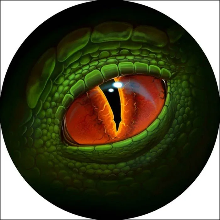 Dragon Eye Coaster Set - Glass