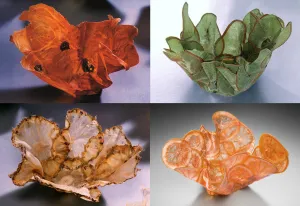 Margaret Dorfman, Vegetable & Fruit Parchment Bowls