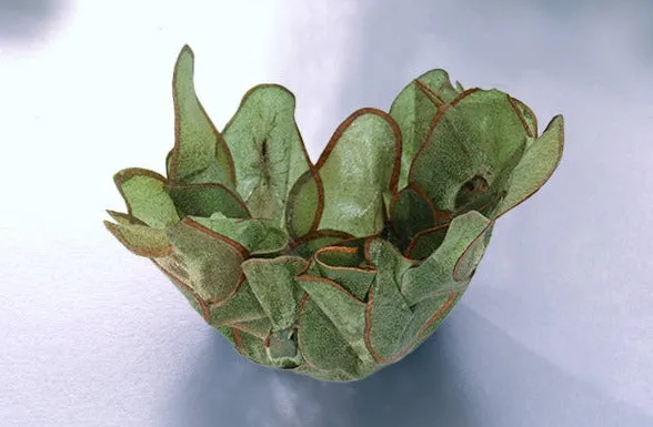 Margaret Dorfman, Vegetable & Fruit Parchment Bowls