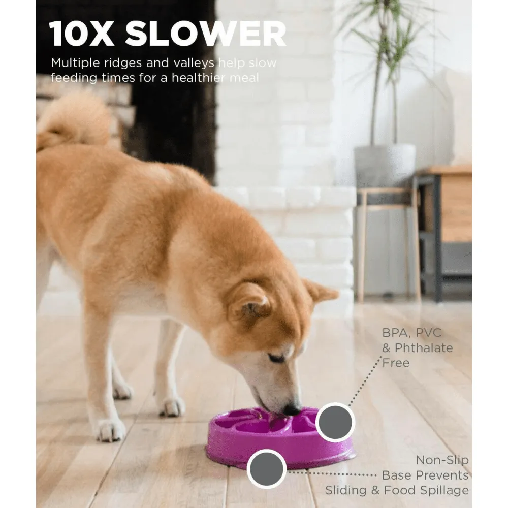 Outward Hound Fun/Slow Feeder for Dogs (Purple)