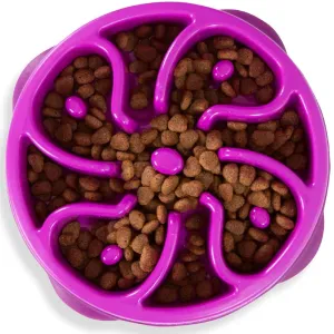 Outward Hound Fun/Slow Feeder for Dogs (Purple)