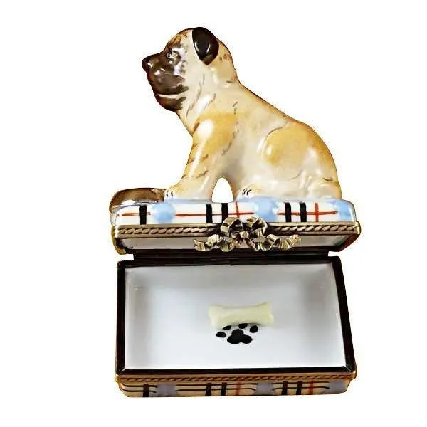 Pug with Spilt Water & Removable Bone