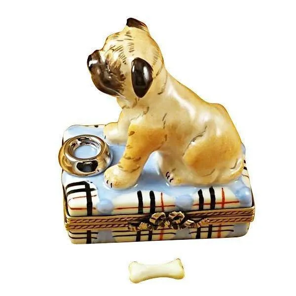 Pug with Spilt Water & Removable Bone