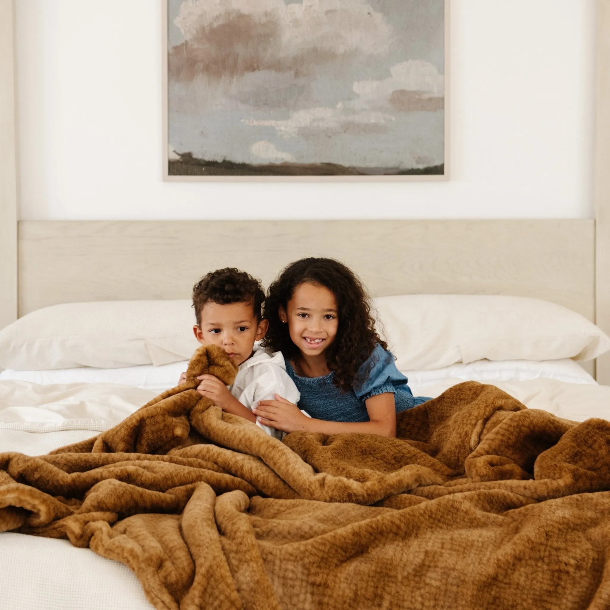 Saranoni Grand Faux Fur Throw Blankets